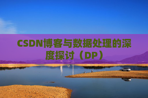 CSDN博客与数据处理的深度探讨（DP）